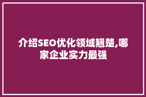 介绍SEO优化领域翘楚,哪家企业实力最强 百度SEO