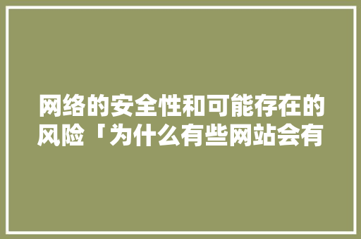 网络的安全性和可能存在的风险「为什么有些网站会有风险」 网络的安全性和可能存在的风险「为什么有些网站会有风险」 必应SEO