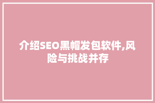 介绍SEO黑帽发包软件,风险与挑战并存 必应SEO