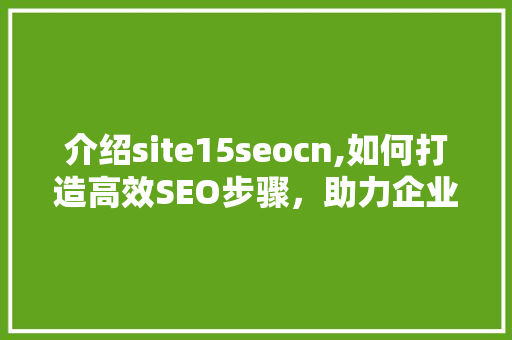 介绍site15seocn,如何打造高效SEO步骤，助力企业网站优化 必应SEO