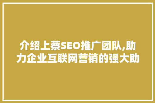 介绍上蔡SEO推广团队,助力企业互联网营销的强大助力 GoogleSEO