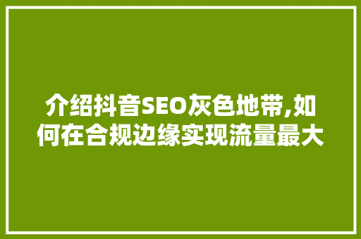 介绍抖音SEO灰色地带,如何在合规边缘实现流量最大化 必应SEO