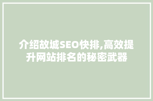 介绍故城SEO快排,高效提升网站排名的秘密武器 百度SEO