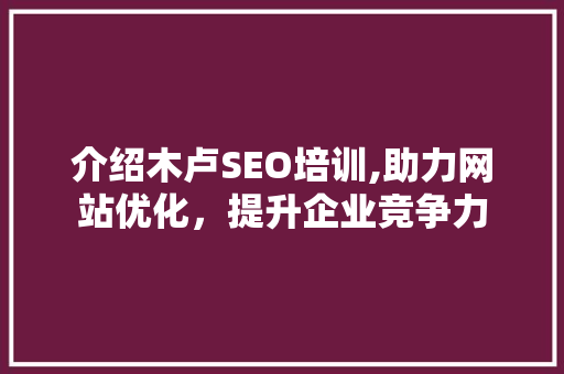 介绍木卢SEO培训,助力网站优化，提升企业竞争力 GoogleSEO