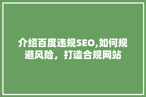 介绍百度违规SEO,如何规避风险，打造合规网站 GoogleSEO
