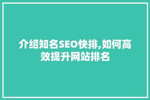 介绍知名SEO快排,如何高效提升网站排名 百度SEO