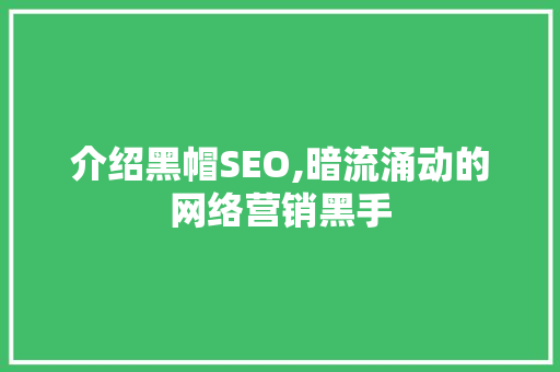 介绍黑帽SEO,暗流涌动的网络营销黑手 百度SEO