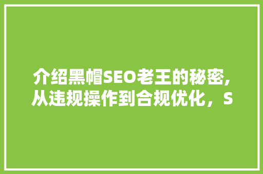 介绍黑帽SEO老王的秘密,从违规操作到合规优化，SEO之路的曲折与启示 必应SEO