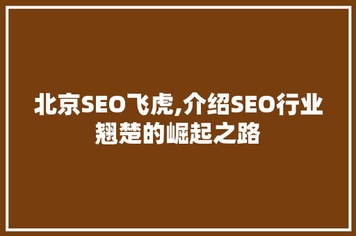 北京SEO飞虎,介绍SEO行业翘楚的崛起之路 必应SEO