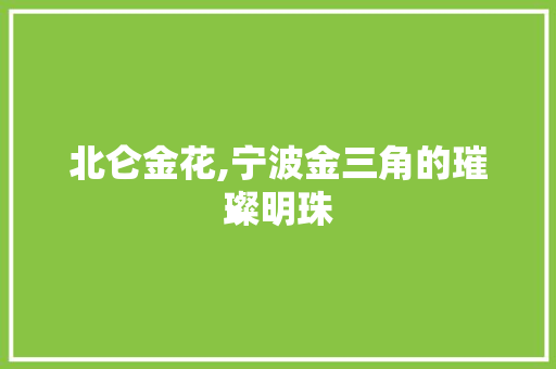 北仑金花,宁波金三角的璀璨明珠 必应SEO