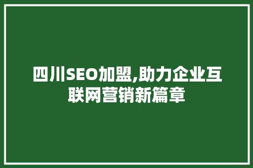 四川SEO加盟,助力企业互联网营销新篇章 百度SEO