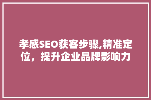 孝感SEO获客步骤,精准定位，提升企业品牌影响力 GoogleSEO