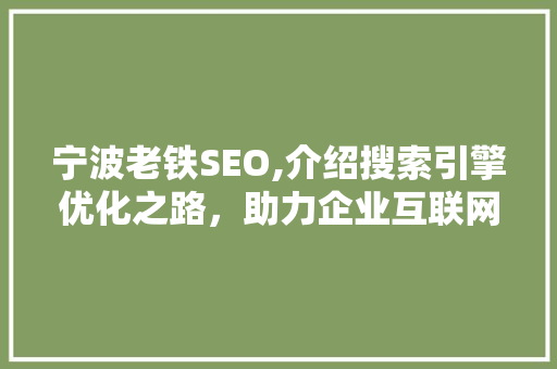 宁波老铁SEO,介绍搜索引擎优化之路，助力企业互联网营销腾飞 GoogleSEO