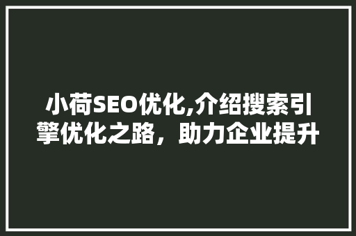 小荷SEO优化,介绍搜索引擎优化之路，助力企业提升网络曝光度 GoogleSEO