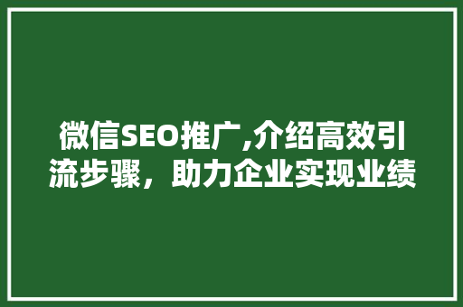 微信SEO推广,介绍高效引流步骤，助力企业实现业绩倍增 必应SEO