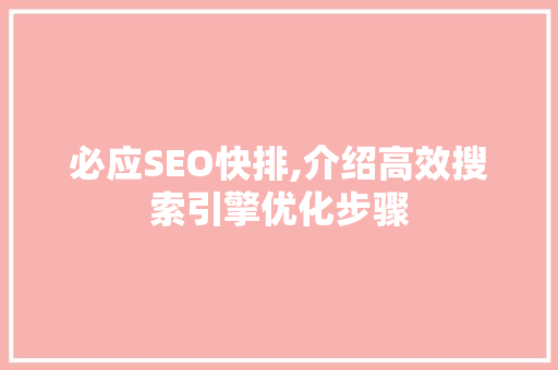 必应SEO快排,介绍高效搜索引擎优化步骤 百度SEO