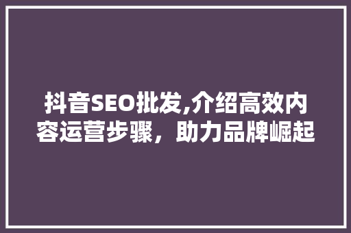 抖音SEO批发,介绍高效内容运营步骤，助力品牌崛起 GoogleSEO