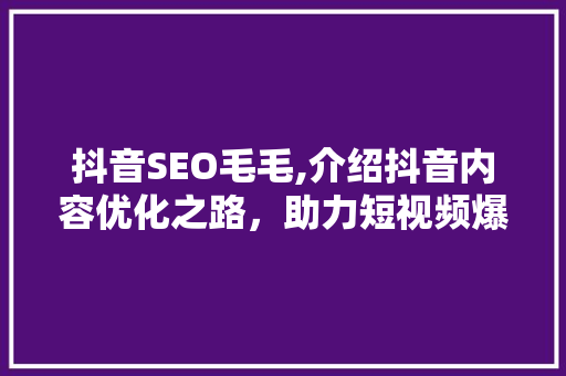 抖音SEO毛毛,介绍抖音内容优化之路，助力短视频爆款生成 GoogleSEO