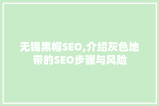 无锡黑帽SEO,介绍灰色地带的SEO步骤与风险 必应SEO