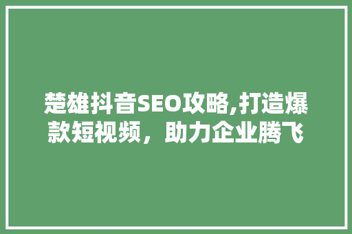 楚雄抖音SEO攻略,打造爆款短视频，助力企业腾飞 搜狗SEO