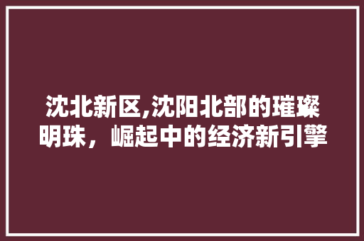 沈北新区,沈阳北部的璀璨明珠，崛起中的经济新引擎 神马SEO