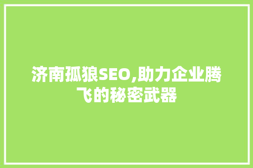 济南孤狼SEO,助力企业腾飞的秘密武器 必应SEO