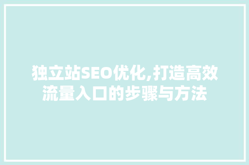 独立站SEO优化,打造高效流量入口的步骤与方法 百度SEO