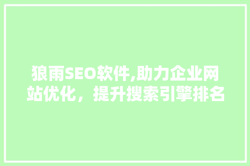 狼雨SEO软件,助力企业网站优化，提升搜索引擎排名 必应SEO