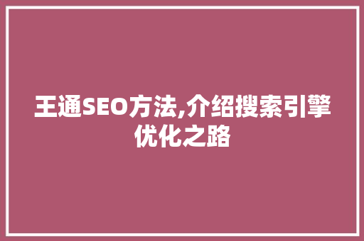 王通SEO方法,介绍搜索引擎优化之路 GoogleSEO