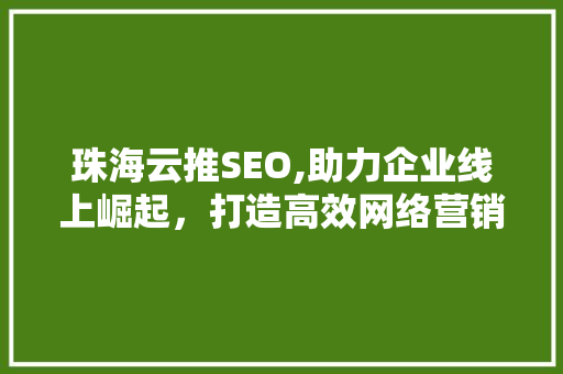 珠海云推SEO,助力企业线上崛起，打造高效网络营销步骤 必应SEO