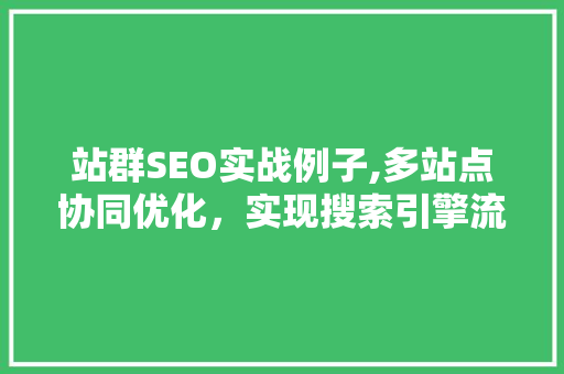 站群SEO实战例子,多站点协同优化，实现搜索引擎流量爆发式增长 GoogleSEO