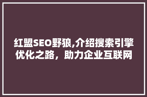 红盟SEO野狼,介绍搜索引擎优化之路，助力企业互联网营销 GoogleSEO