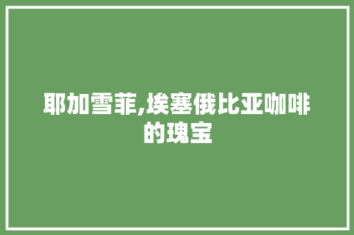 耶加雪菲,埃塞俄比亚咖啡的瑰宝 GoogleSEO