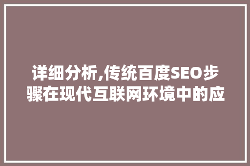 详细分析,传统百度SEO步骤在现代互联网环境中的应用与优化 神马SEO