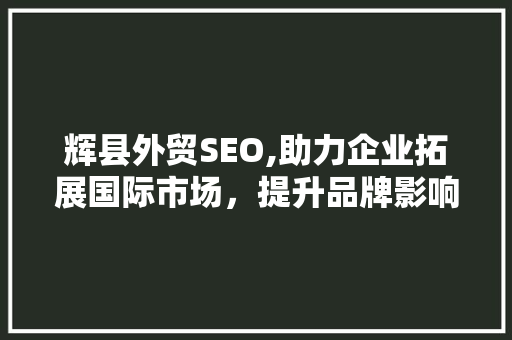 辉县外贸SEO,助力企业拓展国际市场，提升品牌影响力 百度SEO