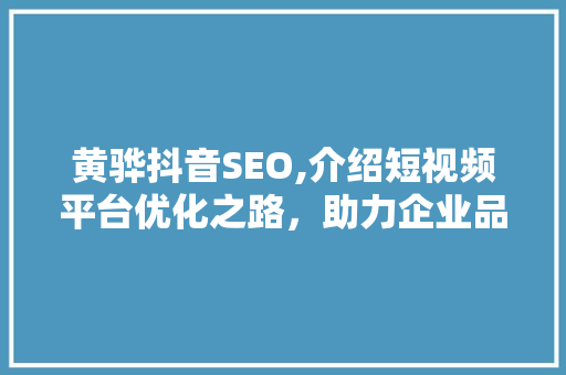 黄骅抖音SEO,介绍短视频平台优化之路，助力企业品牌腾飞