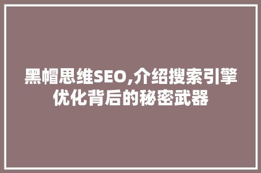 黑帽思维SEO,介绍搜索引擎优化背后的秘密武器 百度SEO