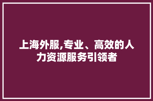 上海外服,专业、高效的人力资源服务引领者 GoogleSEO