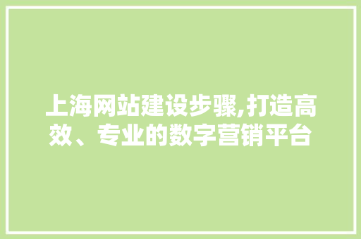 上海网站建设步骤,打造高效、专业的数字营销平台 神马SEO