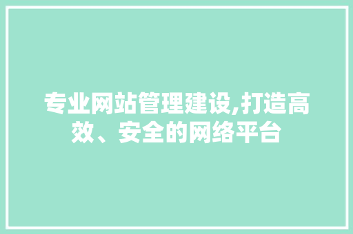 专业网站管理建设,打造高效、安全的网络平台 百度SEO