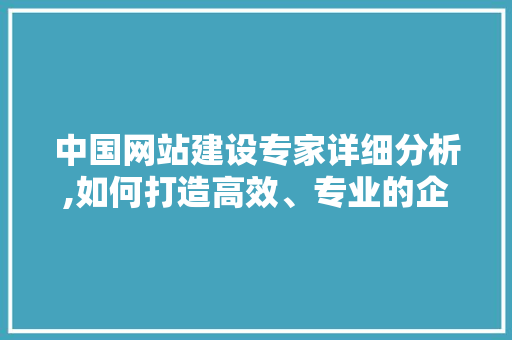 中国网站建设专家详细分析,如何打造高效、专业的企业网站 必应SEO