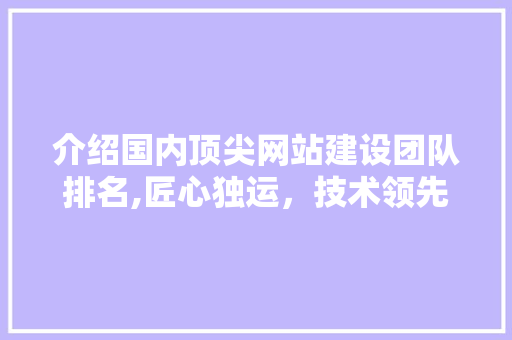 介绍国内顶尖网站建设团队排名,匠心独运，技术领先 GoogleSEO