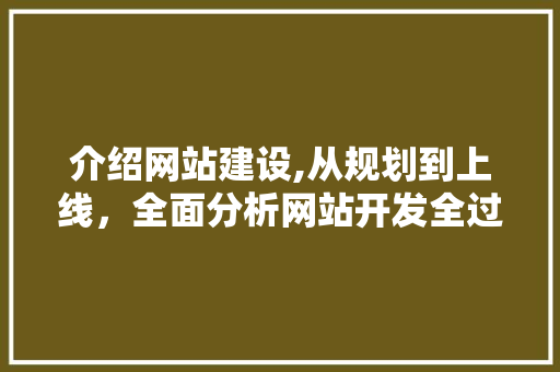 介绍网站建设,从规划到上线，全面分析网站开发全过程
