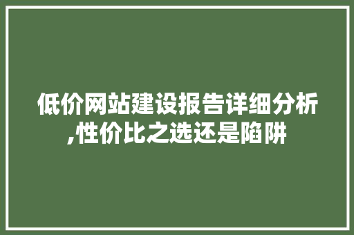 低价网站建设报告详细分析,性价比之选还是陷阱