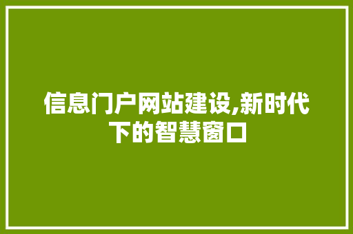 信息门户网站建设,新时代下的智慧窗口 神马SEO