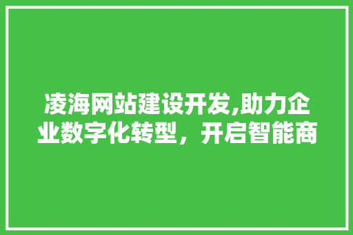凌海网站建设开发,助力企业数字化转型，开启智能商业新篇章 GoogleSEO
