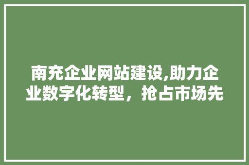 南充企业网站建设,助力企业数字化转型，抢占市场先机 神马SEO