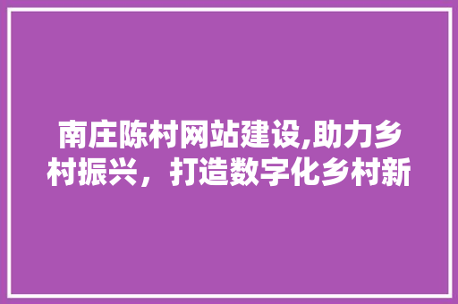 南庄陈村网站建设,助力乡村振兴，打造数字化乡村新典范