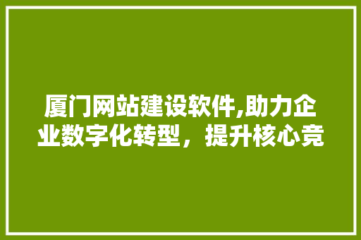 厦门网站建设软件,助力企业数字化转型，提升核心竞争力 神马SEO