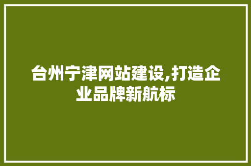 台州宁津网站建设,打造企业品牌新航标